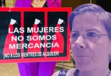 En gestación subrogada, no podemos investigar destino de infancias y sus madres. Reem Alsalem