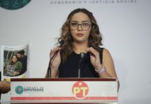 Diputada plantea “Ley Andrea” para sancionar violencia digital y comentarios misóginos de funcionarios .
