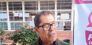 Recolectan 600 árboles navideños y alistan reforestación con especies nativas en Xalapa.