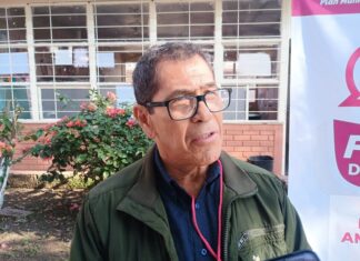 Recolectan 600 árboles navideños y alistan reforestación con especies nativas en Xalapa.