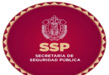Acciones contundentes ante situaciones de seguridad en Veracruz: SSP