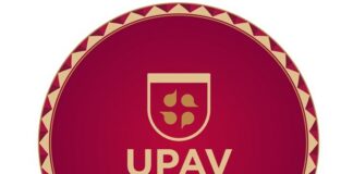 Inicia pago de adeudos a coordinadores y administrativos de la UPAV.