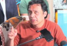 Exclusión de mujeres en libros de texto, entre otros factores, detonó la caída de Marx Arriaga