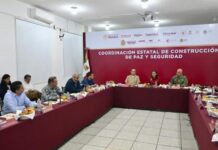 Despliegan a la Guardia Nacional en Cosoleacaque y Jáltipan: Rocío Nahle