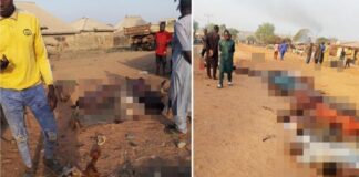 El futuro de la humanidad está en la fraternidad, no en las estrategias militares: Papa León XIV