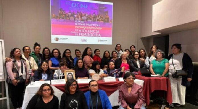 OCNF presenta una Guía de buenas prácticas para acompañar casos de violencia feminicida .
