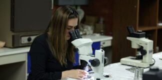El papel de las mujeres en la paleontología.