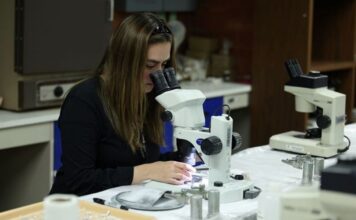 El papel de las mujeres en la paleontología.