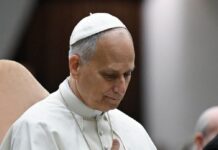 León XIV renueva su llamamiento a erradicar la trata de personas .