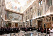 La salud está en peligro por la guerra, el atentado más absurdo contra la vida: Papa León XIV