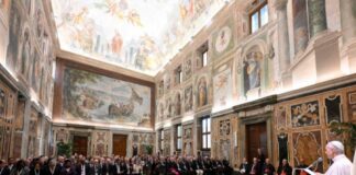 La salud está en peligro por la guerra, el atentado más absurdo contra la vida: Papa León XIV