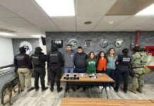 Capturan a “Pepe el Águila”, vinculado a la masacre de los LeBarón