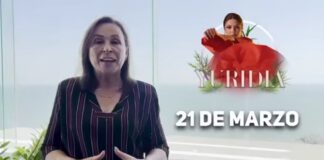 #Video: Rocío Nahle García anuncia cartelera de Cumbre Tajín 2026: Banda Limón,Yuridia, Lila Downs entre otros