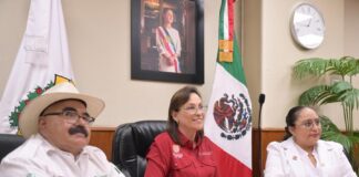 Se suma Veracruz a la Estrategia Nacional de Atención al Sarampión: Gobernadora