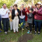 Inicia Ayuntamiento de Veracruz acciones permanentes para proteger su sistema lagunar.