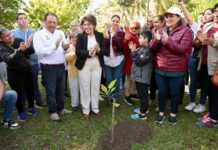 Inicia Ayuntamiento de Veracruz acciones permanentes para proteger su sistema lagunar.