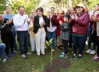 Inicia Ayuntamiento de Veracruz acciones permanentes para proteger su sistema lagunar.