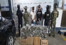 Decomisa SSP más de 28 kilos de presunta marihuana y 147 dosis de diversos estupefacientes durante el fin de semana