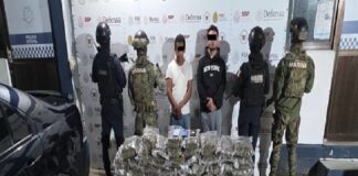 Decomisa SSP más de 28 kilos de presunta marihuana y 147 dosis de diversos estupefacientes durante el fin de semana