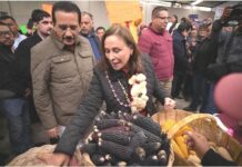 El Gobierno de Veracruz impulsa el Banco del Maíz para preservar semillas criollas.