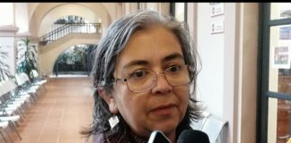 Frente frío 33: Xalapa sin daños, bajaran más las temperaturas