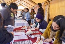 Trabajo acerca 376 vacantes y programas de movilidad laboral en Xico.