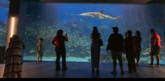 Por Carnaval, tendrá Aquarium horario especial del 14 al 17 de febrero.