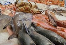 SEMANA DE INICIO DE LA CUARESMA; PESCADOS Y MARISCOS POR LAS NUBES.