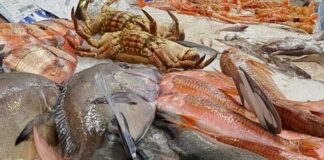 SEMANA DE INICIO DE LA CUARESMA; PESCADOS Y MARISCOS POR LAS NUBES.