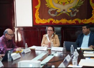 Presentan ante el Coplademun resultados de los Foros de Consulta Ciudadana .