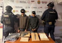 #Veracruz: Decomisa SSP cerca de 500 dosis de estupefacientes y detiene a 64 personas, en 41 municipios.