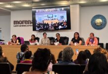 Defensoras entregan informes sobre violencia contra mujeres en México a Relatora Reem Alsalem