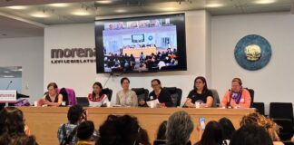 Defensoras entregan informes sobre violencia contra mujeres en México a Relatora Reem Alsalem
