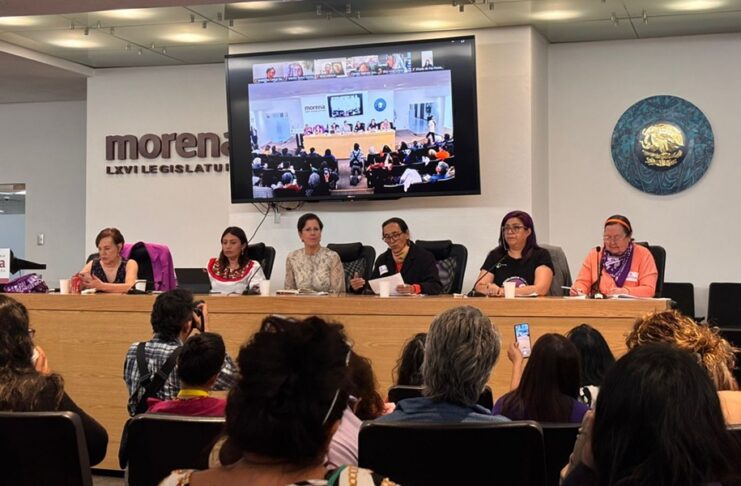 Defensoras entregan informes sobre violencia contra mujeres en México a Relatora Reem Alsalem
