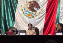 Violencia contra mujeres y niñas en niveles alarmantes, México incluido: Reem Alsalem