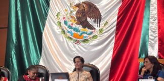 Violencia contra mujeres y niñas en niveles alarmantes, México incluido: Reem Alsalem