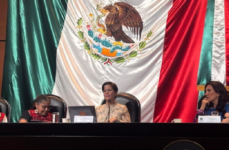 Violencia contra mujeres y niñas en niveles alarmantes, México incluido: Reem Alsalem