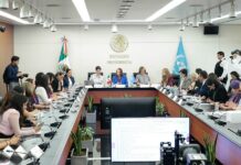 Erradicar la violencia contra las mujeres y las niñas exige decir la verdad: Laura Itzel Castillo.