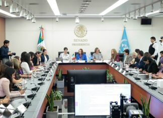 Erradicar la violencia contra las mujeres y las niñas exige decir la verdad: Laura Itzel Castillo.