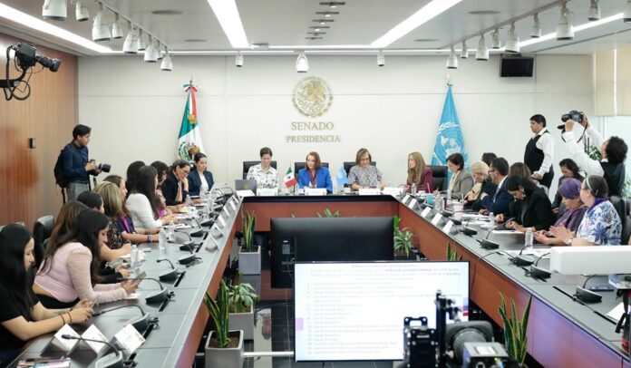 relatora en el senado