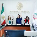 Aprueba Comisión de Bienestar reformas en favor de personas con discapacidad y adultas mayores