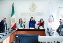 Aprueba Comisión de Bienestar reformas en favor de personas con discapacidad y adultas mayores