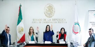 Aprueba Comisión de Bienestar reformas en favor de personas con discapacidad y adultas mayores