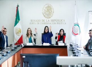 Aprueba Comisión de Bienestar reformas en favor de personas con discapacidad y adultas mayores