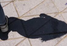 Acecho, una agresión invisibilizada que vigila, persigue y permanece .