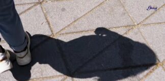 Acecho, una agresión invisibilizada que vigila, persigue y permanece .