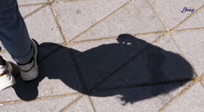 Acecho, una agresión invisibilizada que vigila, persigue y permanece .