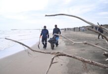 Alvarado recibe temporada vacacional con playas en condiciones óptimas