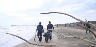 Alvarado recibe temporada vacacional con playas en condiciones óptimas