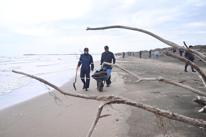 Alvarado Acciones de limpieza